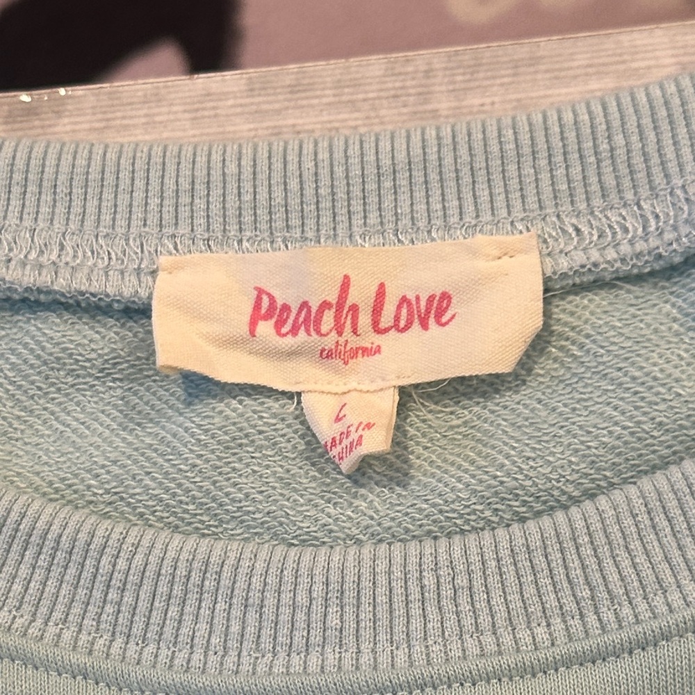 Peach Love CA Sz Large Oversized Statue of Liberty Mint Graphic Sweatshirt - Picture 6 of 9